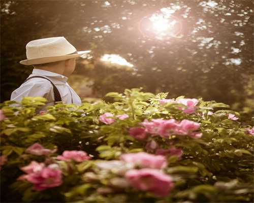 东莞求子心路：传统观念与家庭未来的艰难抉择