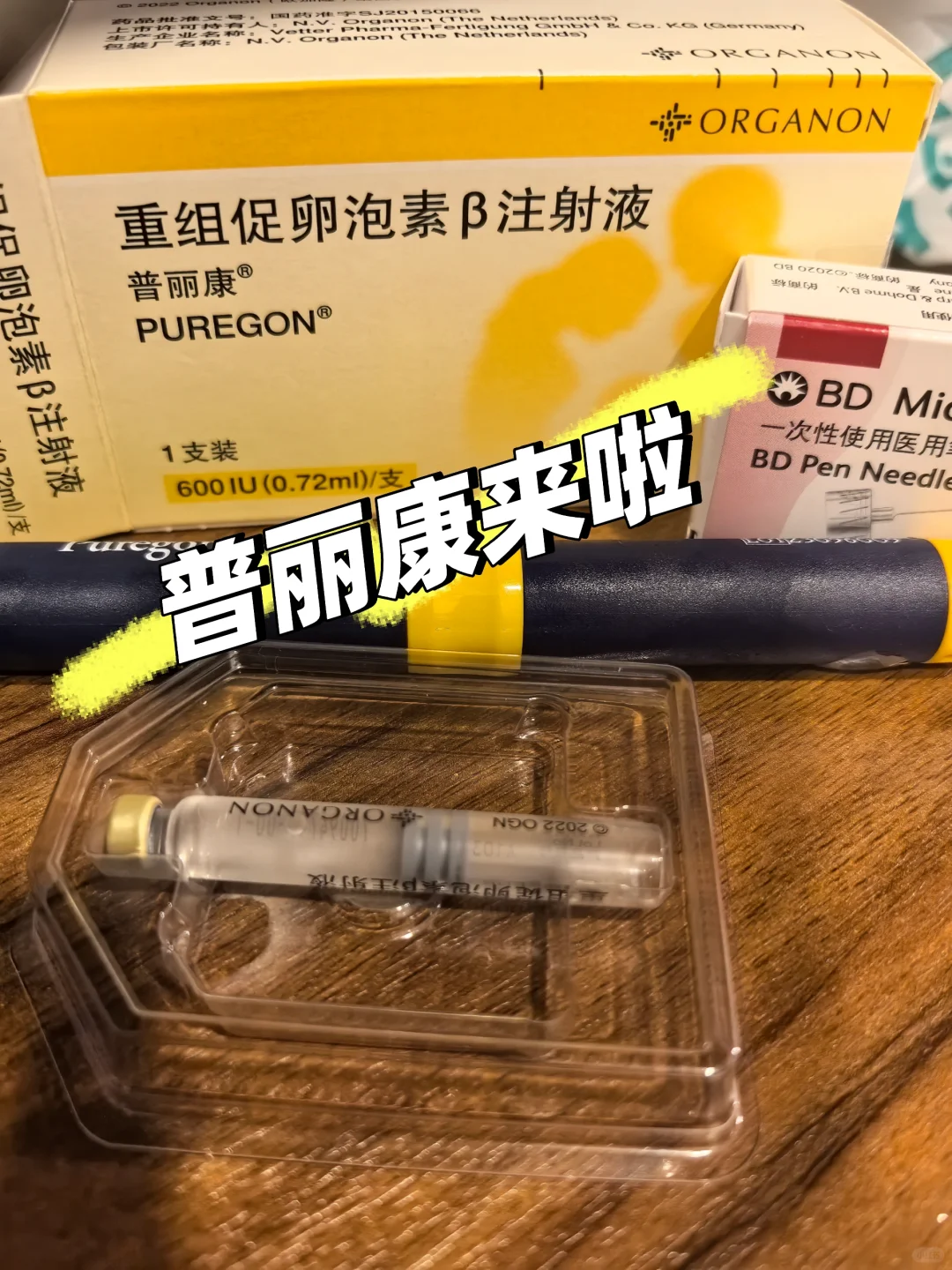 星城暖阳：当爱与科技交织，探索生育旅途的另一种可能