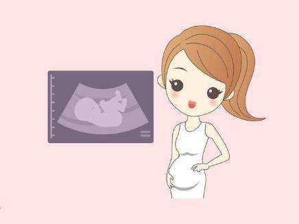 揭秘广州代怀的“价格迷宫”：2025年预算清单与四大“隐形陷阱”