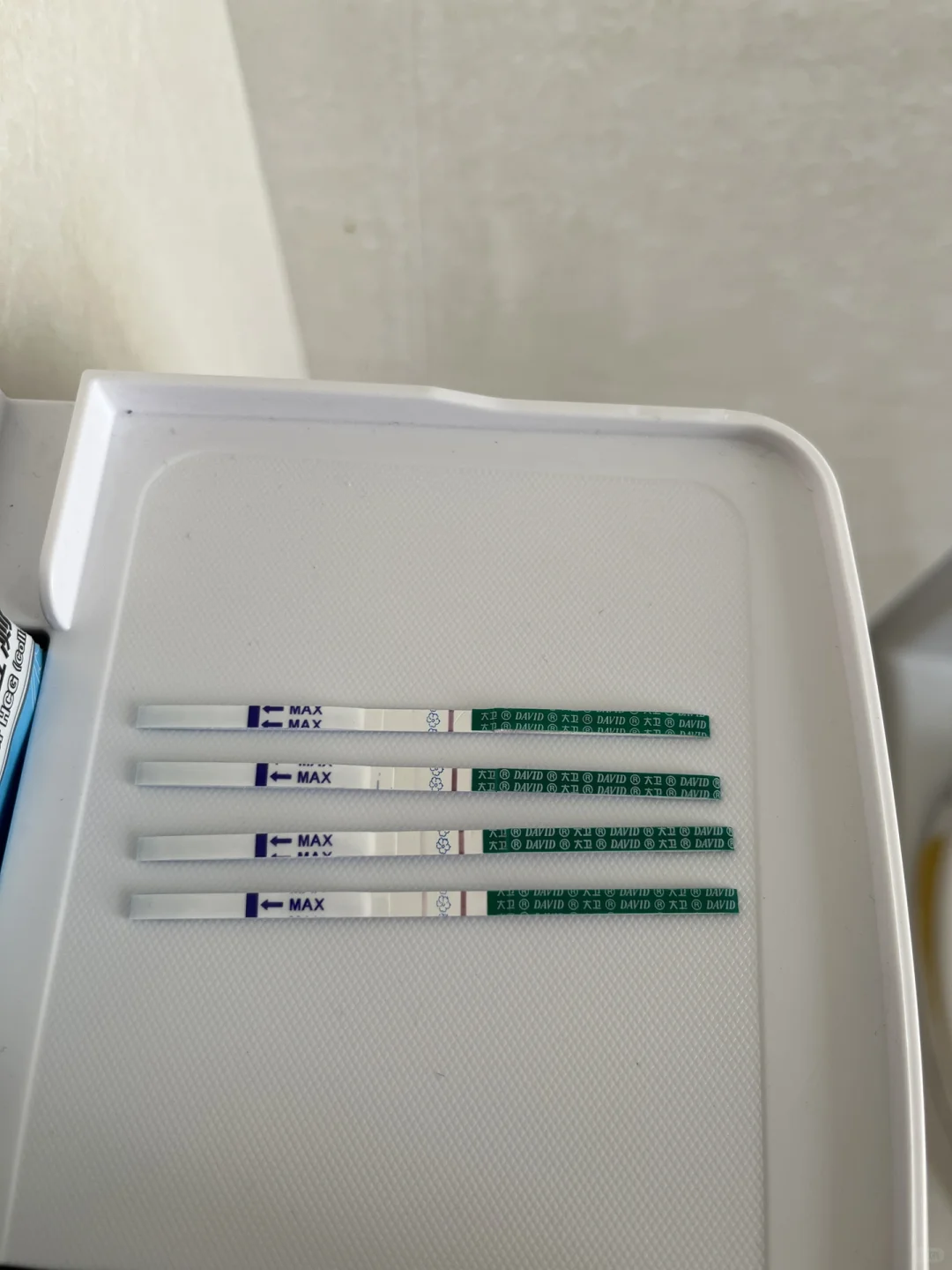 左卵泡成熟=女孩？关于排卵与宝宝性别的科学解读