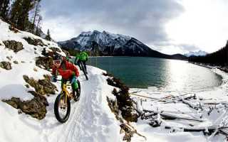 贵阳代生代怀机构怎么选？过来人的经验与避坑指南