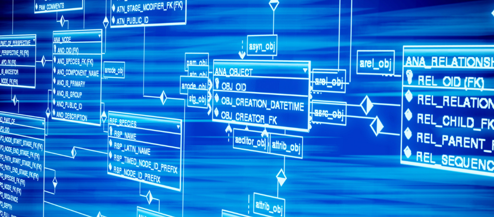 揭秘“昆明代怀孩子包成功”：生殖医生忠告