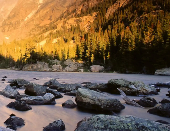 家族传承的沉重枷锁：我与那个“包男孩”的约定